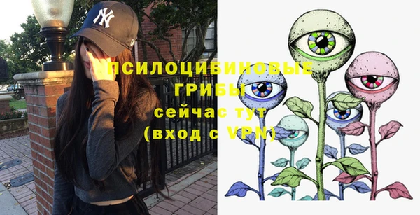 бошки Алексеевка