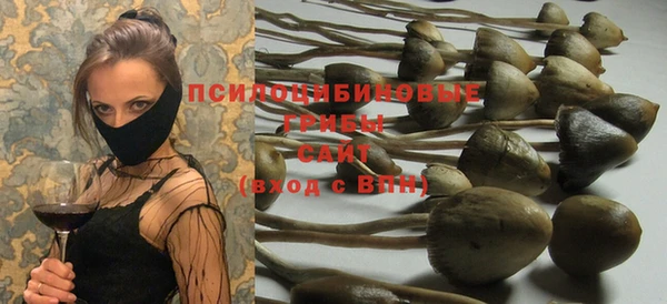 спайс Алзамай
