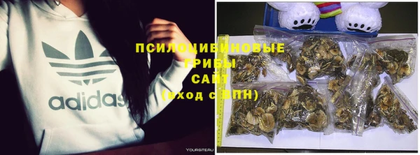 jwh Армянск